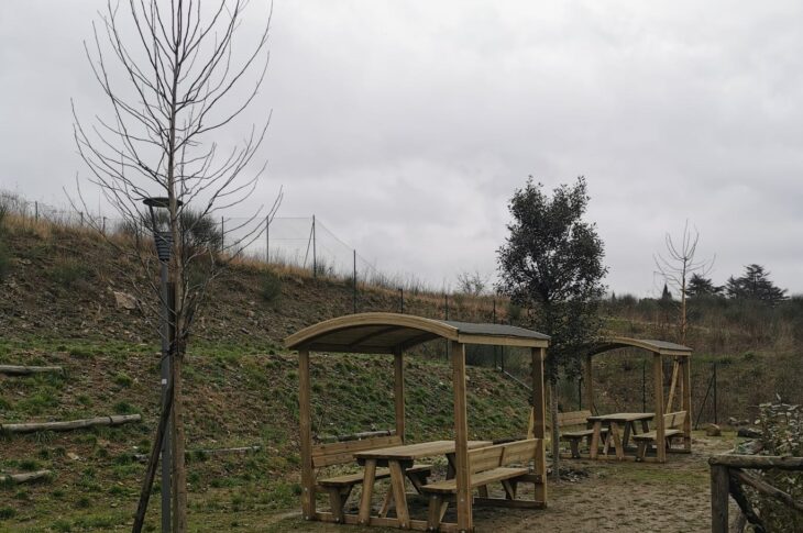 outdoor education - nuovi alberi e arredi